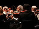 The Legend of Zelda 40th Anniversary Concert
