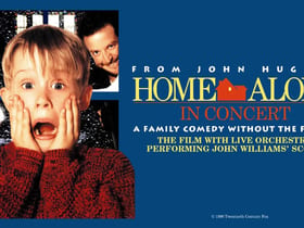 Home Alone In Concert